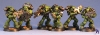 salamanders-1-3