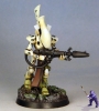Exodite-wraithguard-1