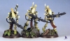 wraithguard-1