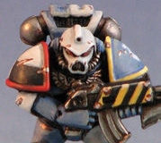 Other Space Marines