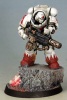white-scars2