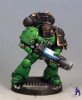 salamander-1