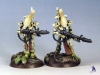 wraithguard-2
