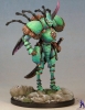Dung-Beetle-Knight-1
